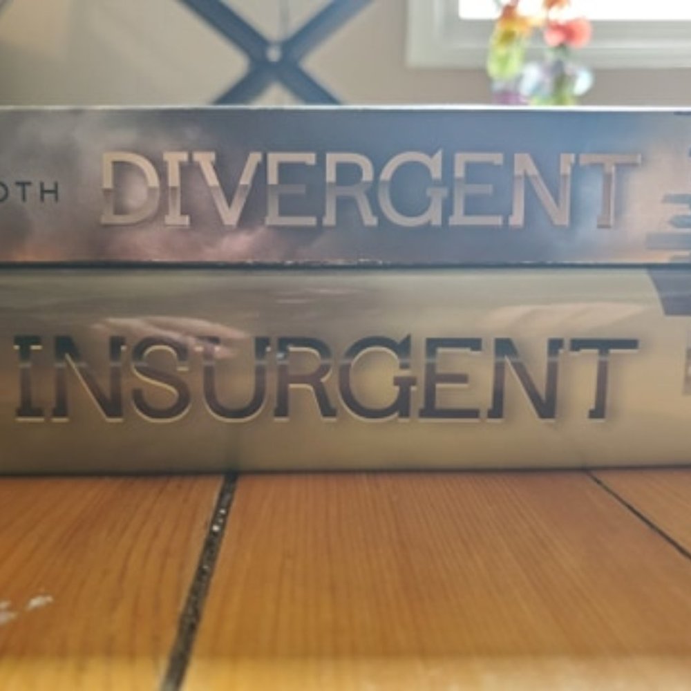 Divergent Partial Series